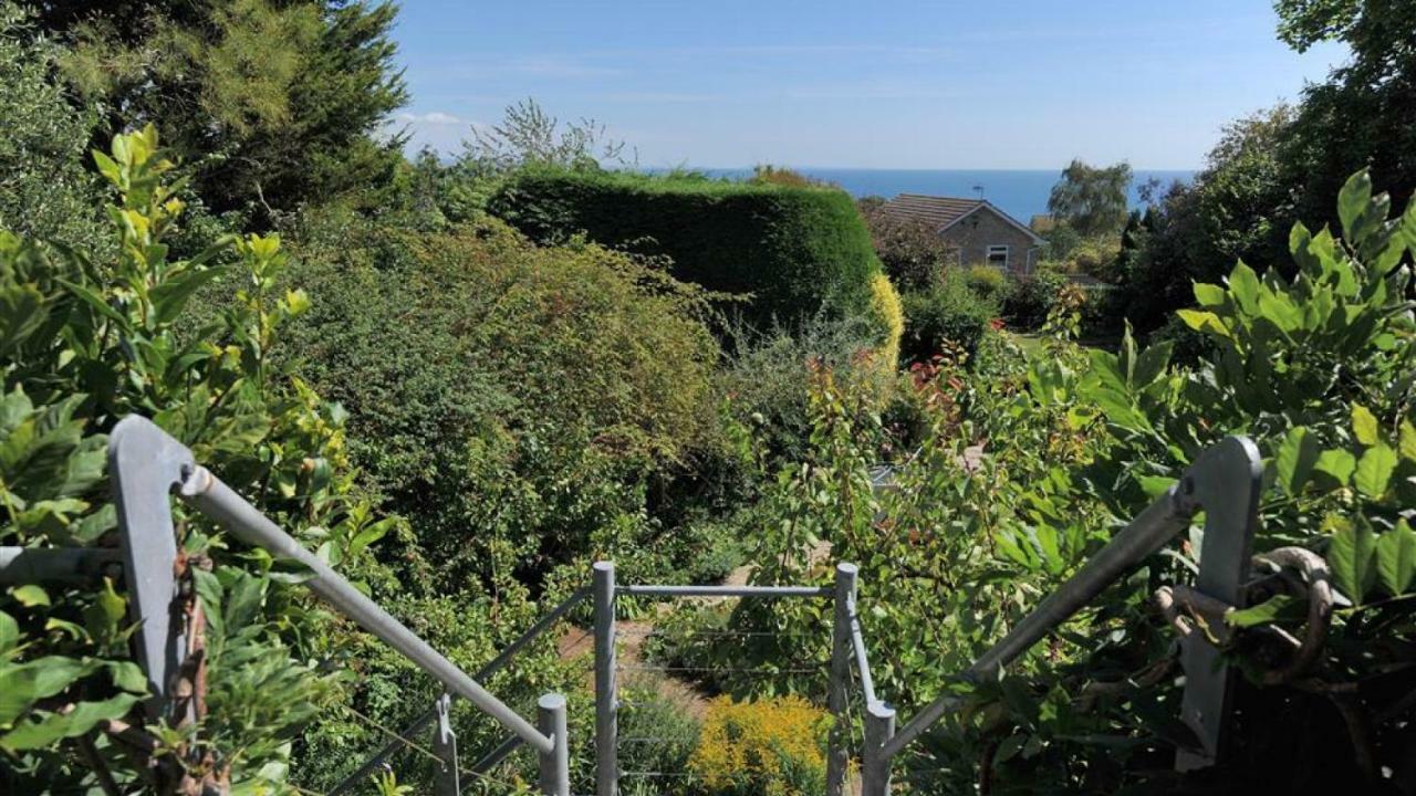 Little West Hill Studio Lyme Regis Ngoại thất bức ảnh